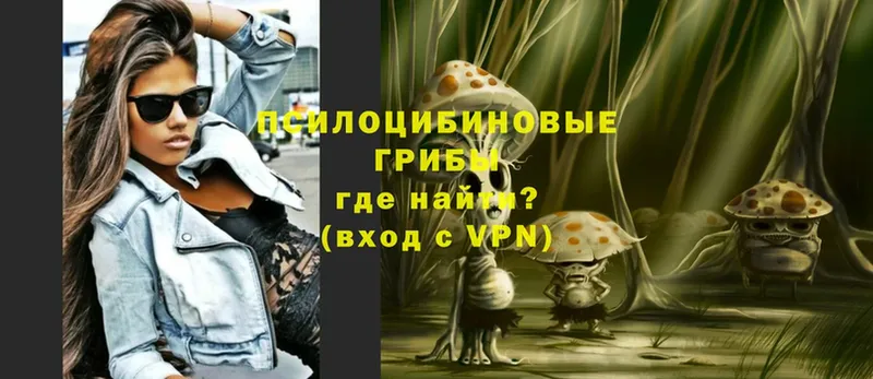 Галлюциногенные грибы Magic Shrooms  площадка состав  Дзержинский 